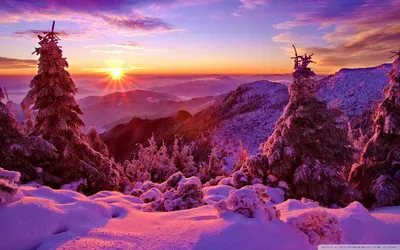 Тюменцы сняли необыкновенно красивый зимний закат 11 января 2023 года - 11  января 2023 - 72.ru