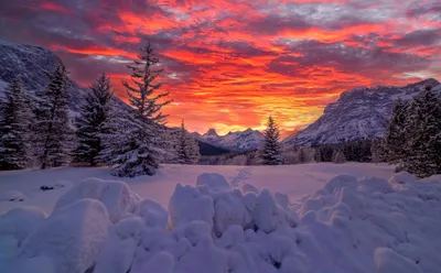 Зимний закат ... - Удивительная природа | Facebook