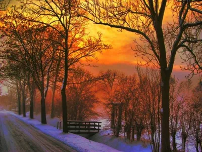 Фантастический зимний закат в Нижнем Новгороде в 10 снимках - 24 февраля  2020 - nn.ru