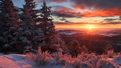 Зимний закат - Winter sunset | Зачатьевский собор, Высоцкий … | Flickr