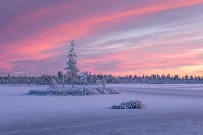 Зимний закат панорамный пейзаж | Премиум Фото