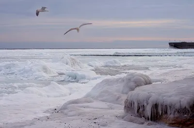 Зимний рассвет на море / Холодно, море у берега замёрзло Там где вода  открытая, она парит