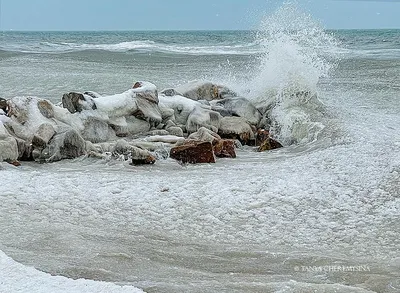 Холодное зимнее море — Фото №298282