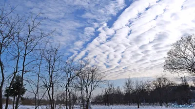 Подаренное настроение от зимнего неба.Север Амурской области. — DRIVE2