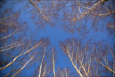 Зимнее Небо — стоковые фотографии и другие картинки Без людей - Без людей,  Ветер, Горизонтальный - iStock