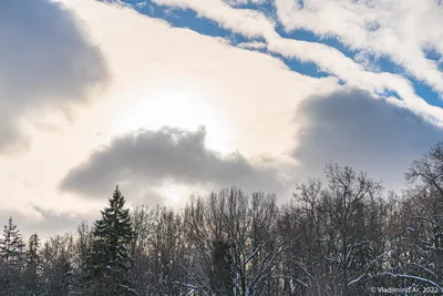 Красивое зимнее небо с русскими березами