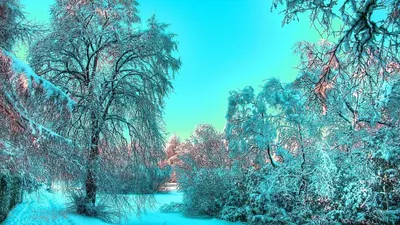 Зимнее небо :: Алексей Синельников – Социальная сеть ФотоКто