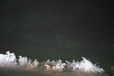 Фото Зимнее небо - весенние намеки на фотохостинге Fotoload