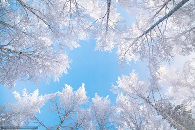 Зимнее небо - 76 фото