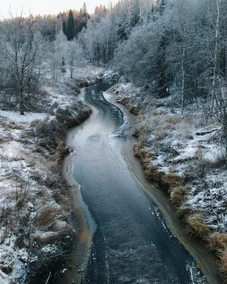 Озеро и лес зимой - 73 фото