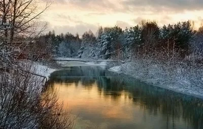 Картинка зима. Река, Зима, снег, небо, деревья. | Река, Картинки, Зима