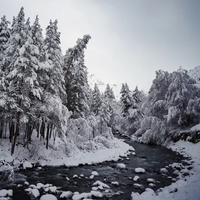 Зимняя река » Картины маслом на заказ | художник Тамара Будник