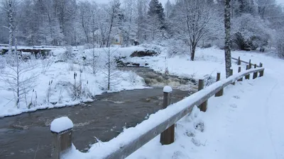 Пейзаж река зима сезонный вид воды снег лес | Премиум Фото