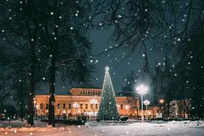 Тверь зимняя, Тверь предновогодняя, Тверь вечерняя. Фоторепортаж. | Блогер  кучерявый | Дзен