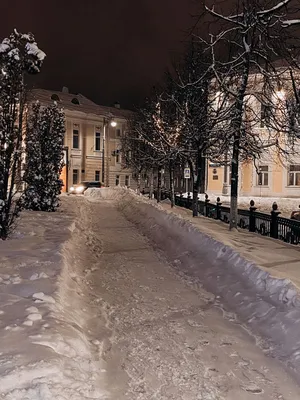 Жителей и гостей Твери приглашают на встречу Нового года в Городской сад