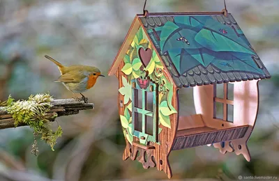 Нужны ли кормушки для птиц в саду?: Общество: Облгазета