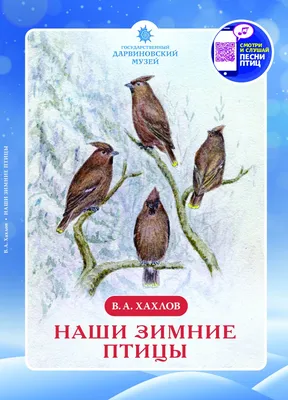 Зимние птицы на ветке иллюстрация штока. иллюстрации насчитывающей герой -  165219312