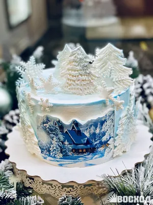 Prigoda_cakes - Новогодние зимние торты ещё актуальны 🤗 ⠀ Очень уж не  охота прощаться на год с елкой ⠀ И вообще, у кого праздник зимой над  декором можно долго не думать 😉❄️