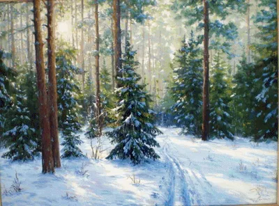 Сосновый лес зимой - 76 фото