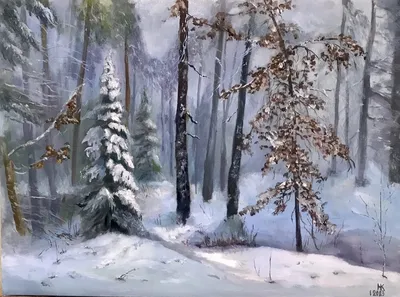 Зимний хвойный лес, прогулка, …» — создано в Шедевруме