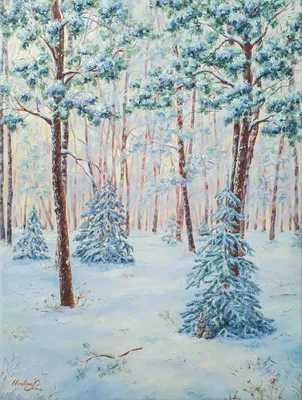 Хвойный зимний лес - 74 фото