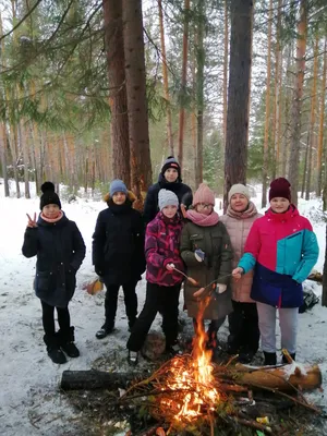 Хвойные леса в зимний период. Лес покрыт снегом. Непроходимая чаща. Россия  Стоковое Изображение - изображение насчитывающей фе, замораживание:  174580811