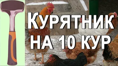 Чертеж курятника на 10 кур с размерами: фото и схемы