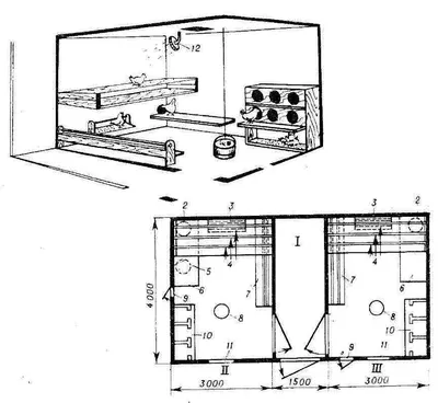 Зимний курятник своими руками на 10 кур