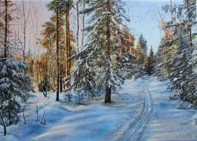 Ночной зимний лес | Winter scenery, Winter landscape, Scenery
