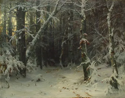 Картина маслом - Зимний лес | живопись на холсте современного художника  купить в Санкт-Петербурге