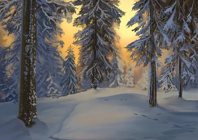 Очень красивый зимний лес - 68 фото