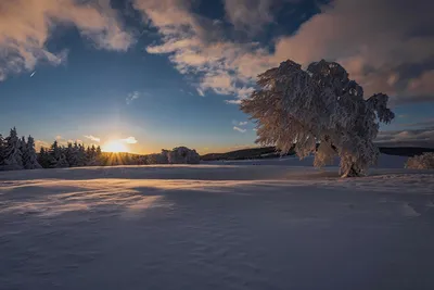 Бесплатные Зимний рассвет 3 стоковые фотографии | FreeImages