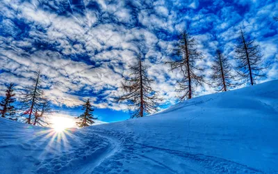 Обои на рабочий стол Зимний рассвет, на переднем плане деревья в снегу,  фотограф Stian Bergsveen, обои для рабочего стола, скачать обои, обои  бесплатно