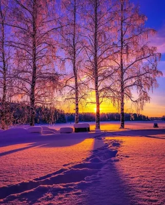 Красивый зимний рассвет в горах» — создано в Шедевруме