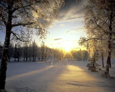 Зимний рассвет :: дмитрий посохин – Социальная сеть ФотоКто