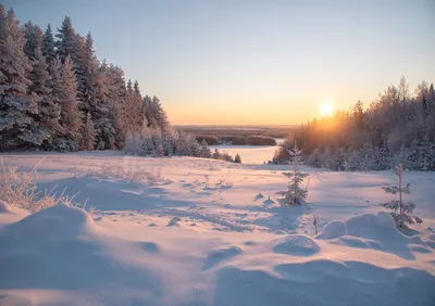 Зимний рассвет в лесу.. Фотограф Александр Свистков