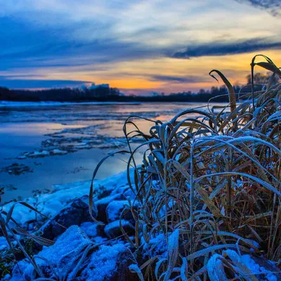 зимний рассвет на берегу Аляски Стоковое Фото - изображение насчитывающей  утро, фэрбенкс: 238011724