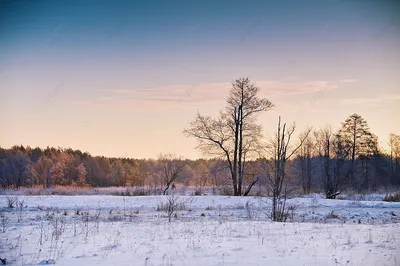 Зимний рассвет на озере | Рассвет, Озеро, Фотографии