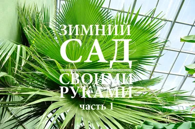 Зимний сад в доме: особенности, разновидности, типы, целесообразность,  строительство, остекление