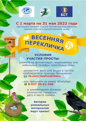 Экологическая викторина «Зимующие птицы». 2022, Белорецкий район — дата и  место проведения, программа мероприятия.