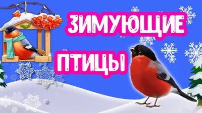 Зимующие птицы - online presentation