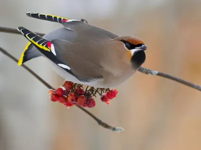 Башкирия Lifestyle - ✨Экологичные кормушки для птиц - мастер-класс ⠀ 𝟏𝟗  февраля Начало в 14:00 ⠀ Зима - нелегкое время года для диких птиц, которые  в период холодов особенно нуждаются в заботе,
