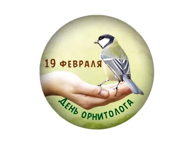 Птицы Башкирии - 75 фото