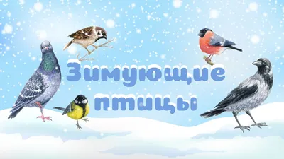 Зимующие птицы Чувашии - online presentation