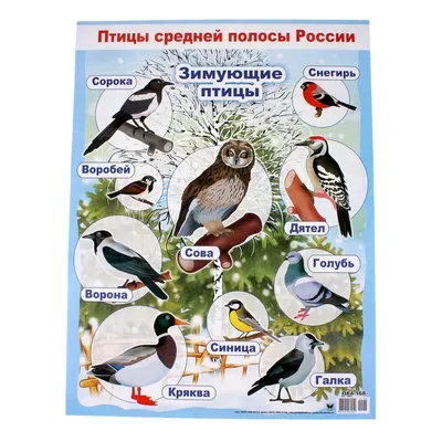 Межпоселенческая централизованная библиотечная система | Новости