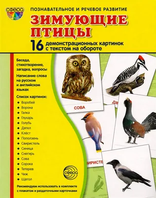 Демонстрационные картинки СУПЕР Зимующие птицы 16 демонстрационных картинок  с текстом 173х220 мм - Межрегиональный Центр «Глобус»