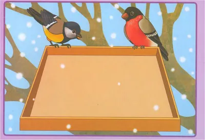 Снегири прилетели: брянцев радуют зимующие птицы • БрянскНОВОСТИ.RU