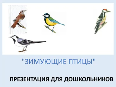 Knigi-janzen.de - Зимующие птицы России | 978-5-9780-1130-2 | Купить  русские книги в интернет-магазине.