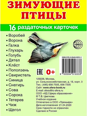 Мозаика-Синтез Плакат Зимующие птицы МС10883 - Акушерство.Ru