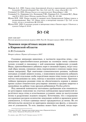 Кировчан призывают кормить птиц: как сделать это правильно » ГТРК Вятка -  новости Кирова и Кировской области